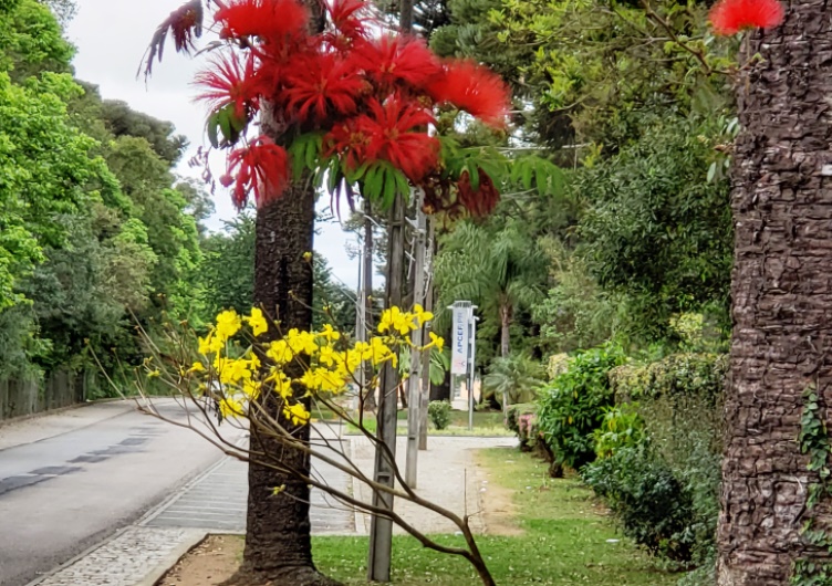 Primavera_sedesocial.20.1.jpg
