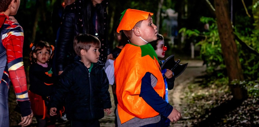 311025 Halloween _1_.jpg