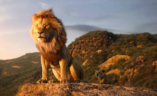 ReiLeao_filme.20.3.jpg